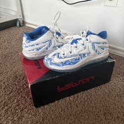 Lebron 11 China Pack Size 11