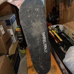 Santa Cruz Skateboard 