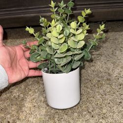Fake Plant 