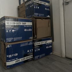 40FT x 60FT Everbilt Tarp (Lona)