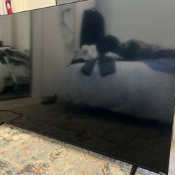 65 Inch Vizio TV *Needs Repair
