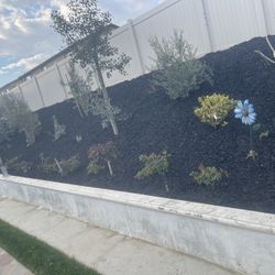 Mulch Decorations 