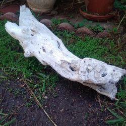 Natural Driftwood Tunnel For Aquariums Terrariums Decor Etc 