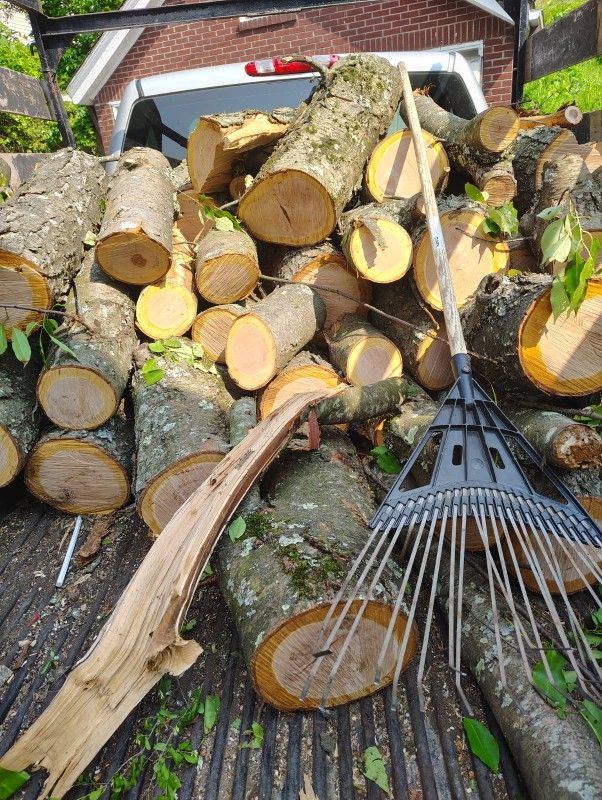 Firewood