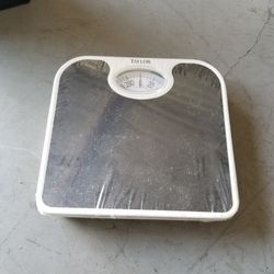 scale