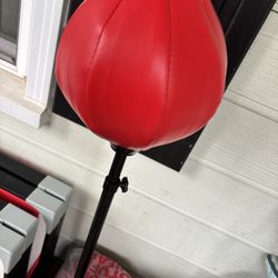Kids Child Punching Bag / Gloves