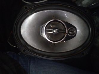 Pioneer Speaker
