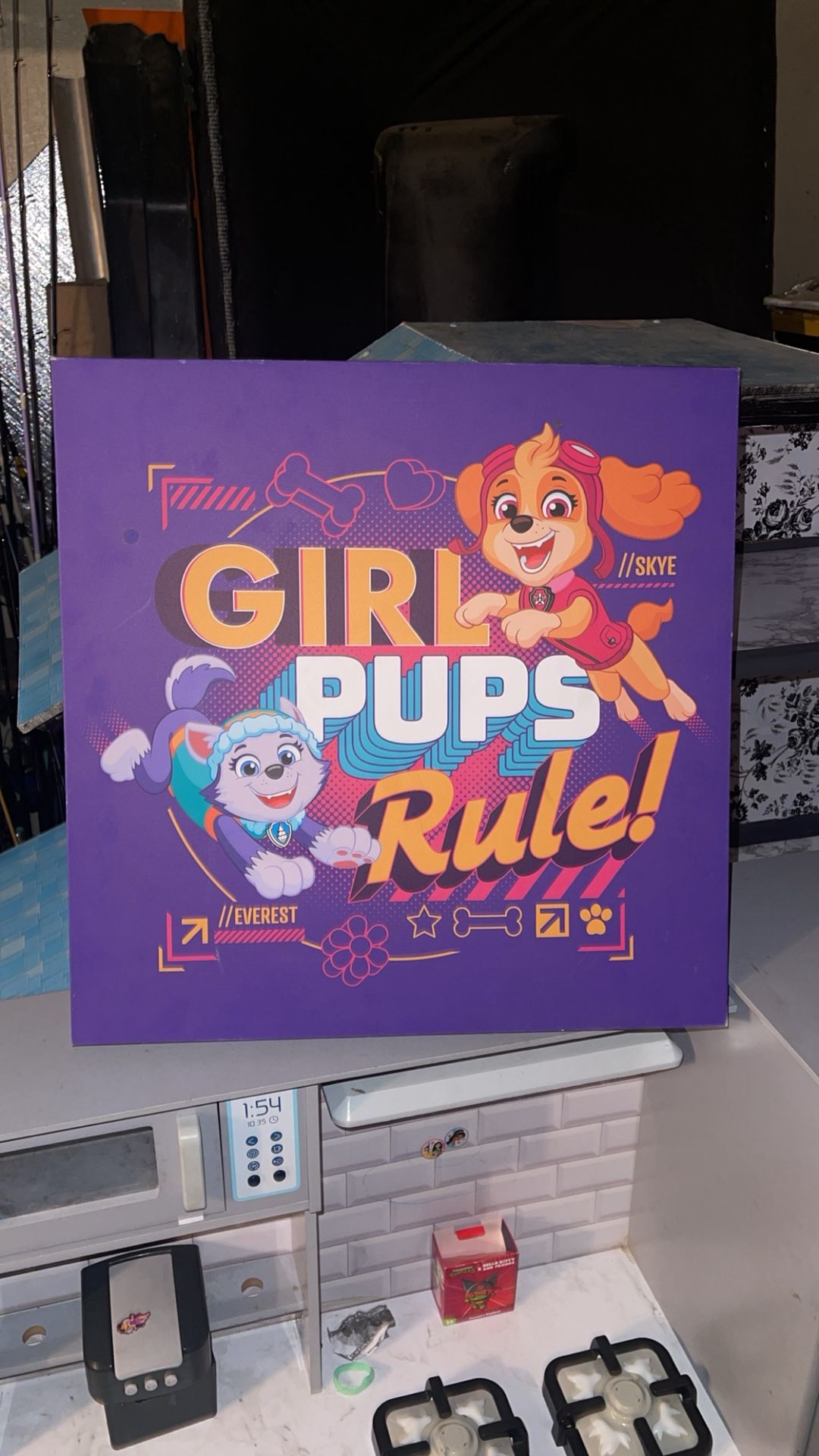 Paw Patrol Picture Frame