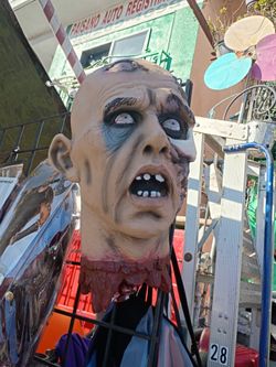 Very Cool Zombie Head. 12 Inch Tall