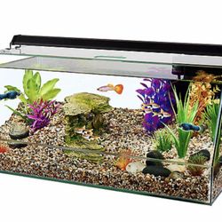 10 Gallon Aquarium With Heater, Filter and Lights-used