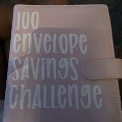 100 Day Savings Book