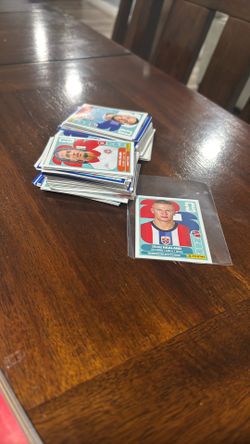 Panini Stickers (ignore Price)