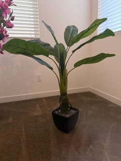 Artificial Banana Leaf Tree in Black Pot