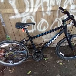 Giant Bicycle 