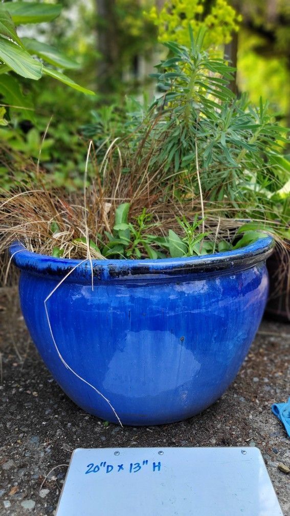 Planter, Gorgeous, with Perennials