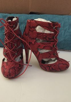 Michael Anthony size 6