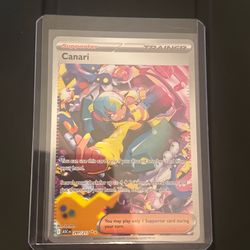 Pokemon Ascended Heroes