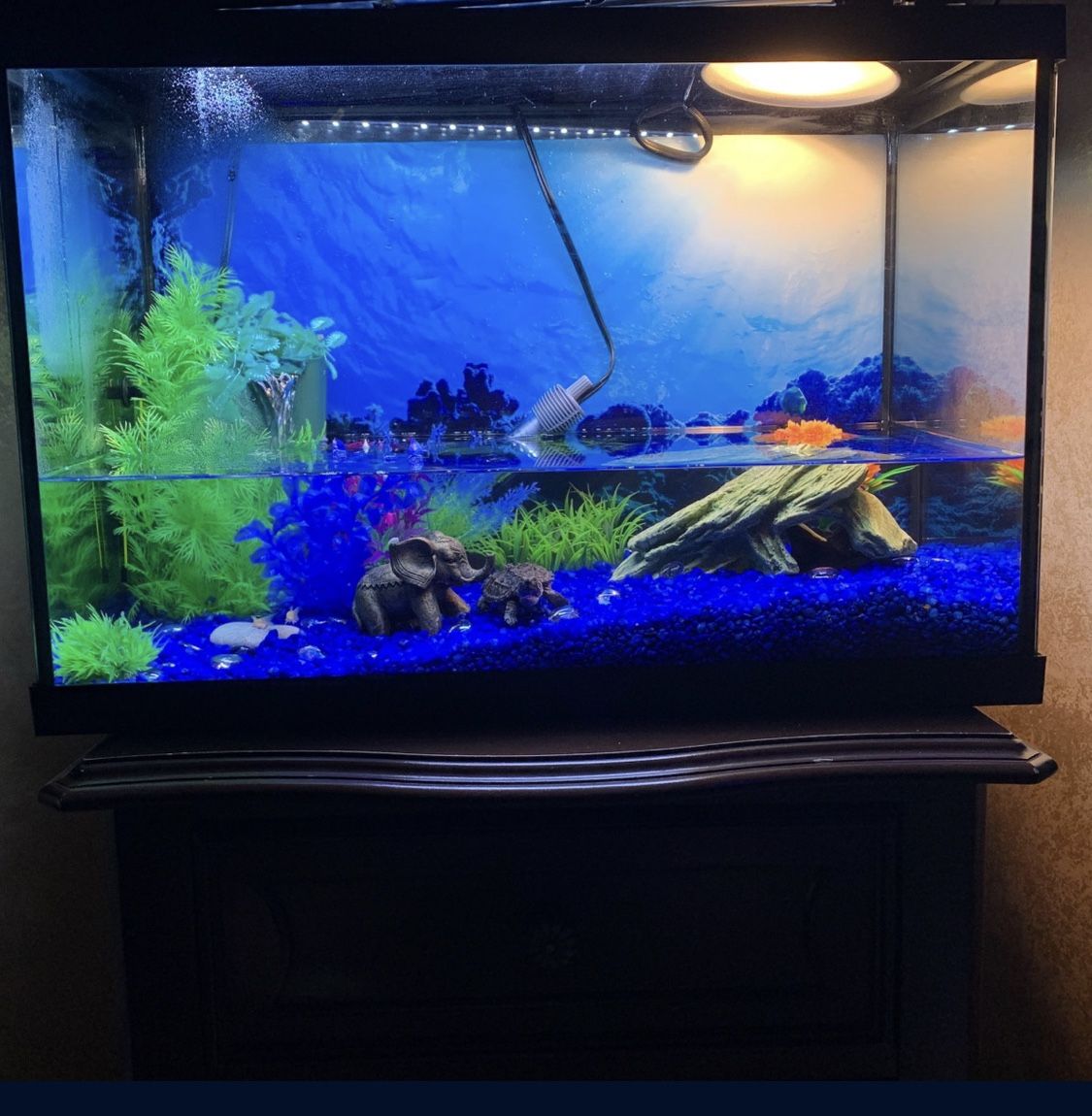 20 Gallon Aquarium With Heater And New Filter!