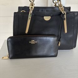 Coach Purse With Wallet