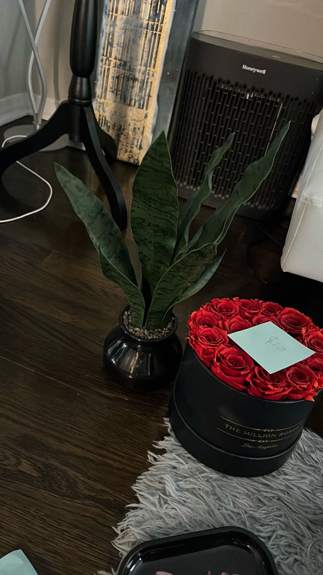 Snake Plant Fake