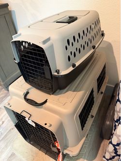 Kennel