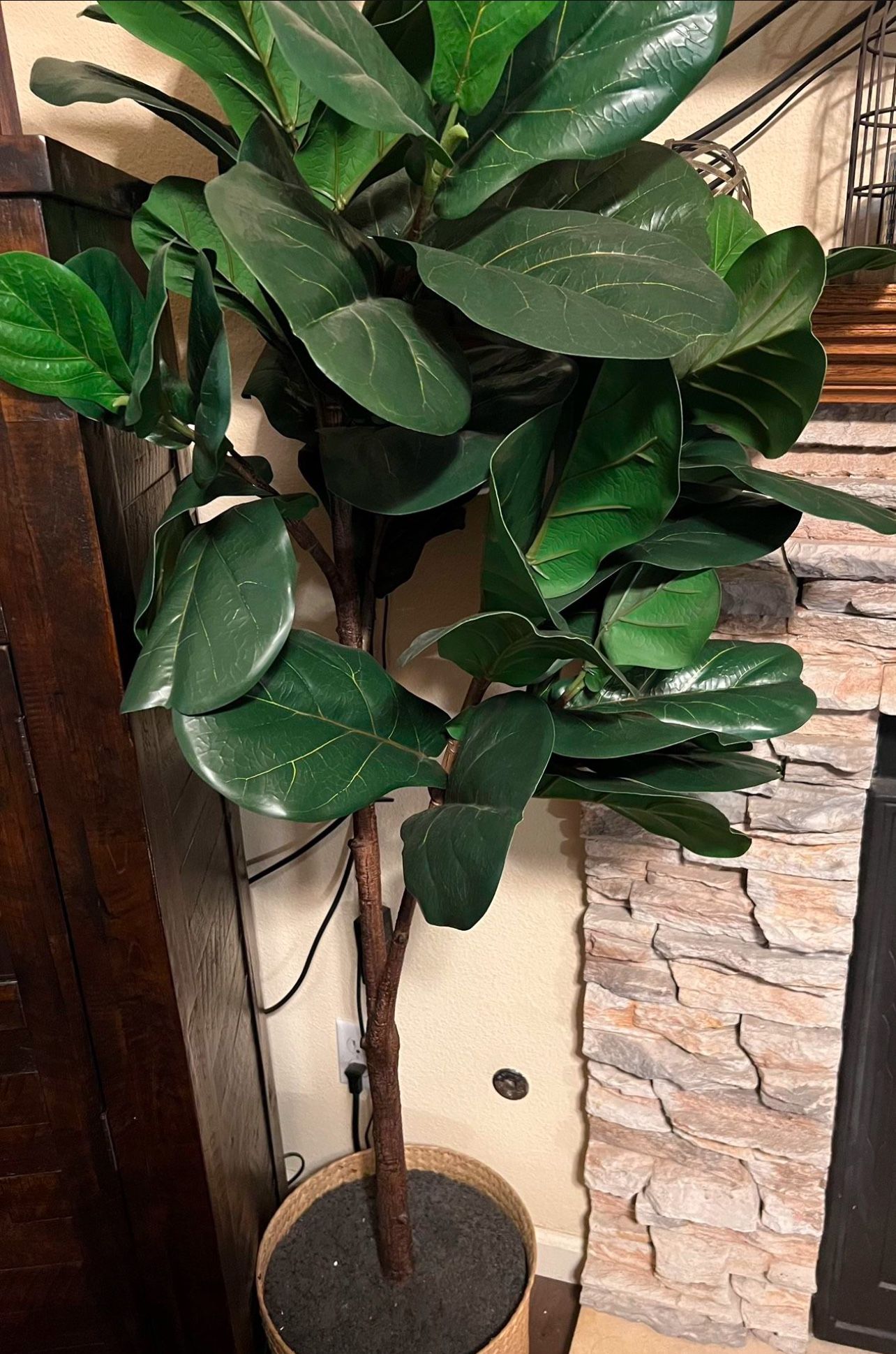 Fake Plant