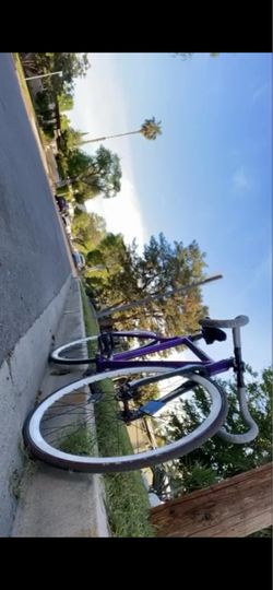 Throne fix gear bike