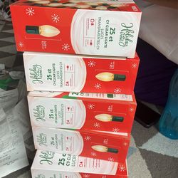 Holiday Living 25 Count C9 Clear Lights