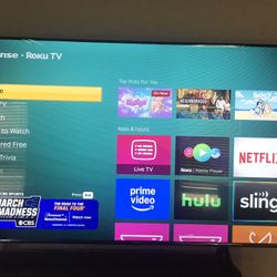 TV  70  Inches UHK 4k with Roku Support , Sofa Couches, Artificial Plant With Pots 