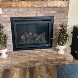 Set Of Two High In Plants