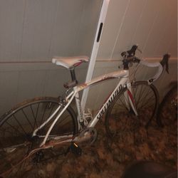 Ten Speed Customized