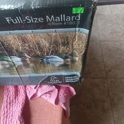 Full Size Mallard Higdon Outdoors