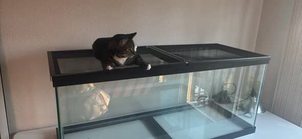 Large Pet Tank