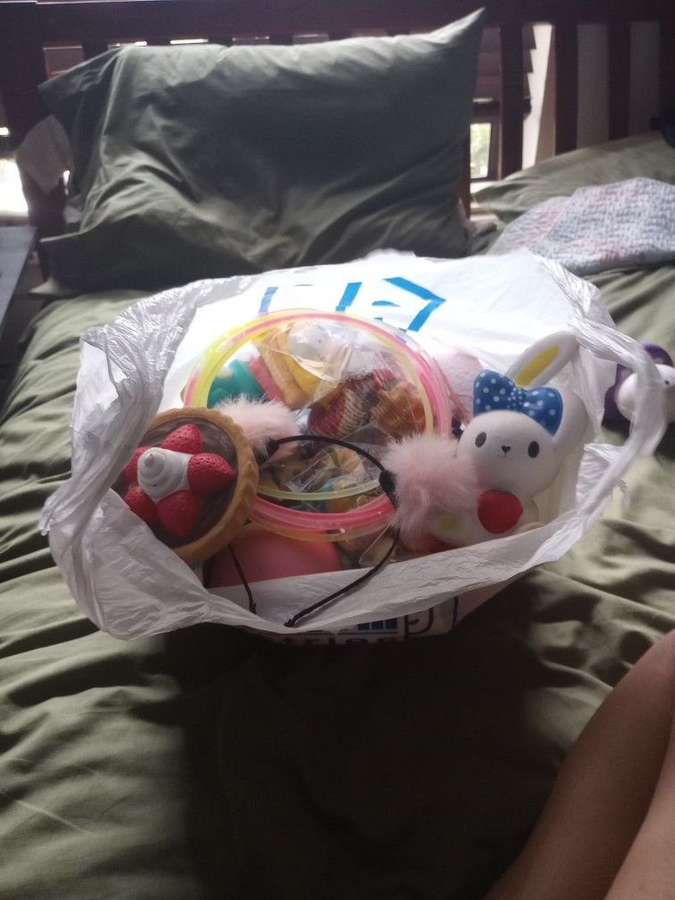 Huge Bag Of Girls Toys And Accessories 