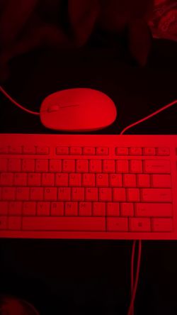 HP| Mouse and Keyboard