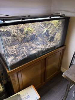 Vivarium Full Setup W/lights, misting system