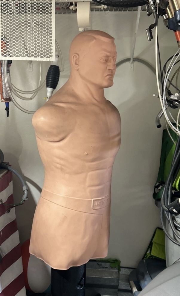 Century Punching Bag 