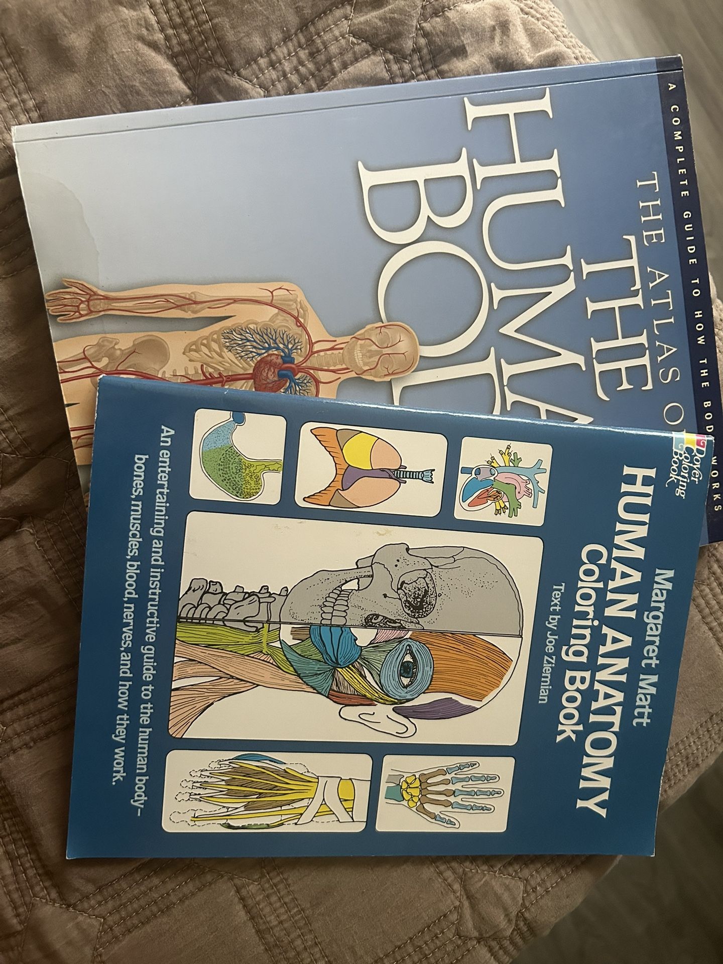 Nursing Books & Coloring Book 
