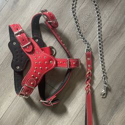 Leather Harness With Chain Leash