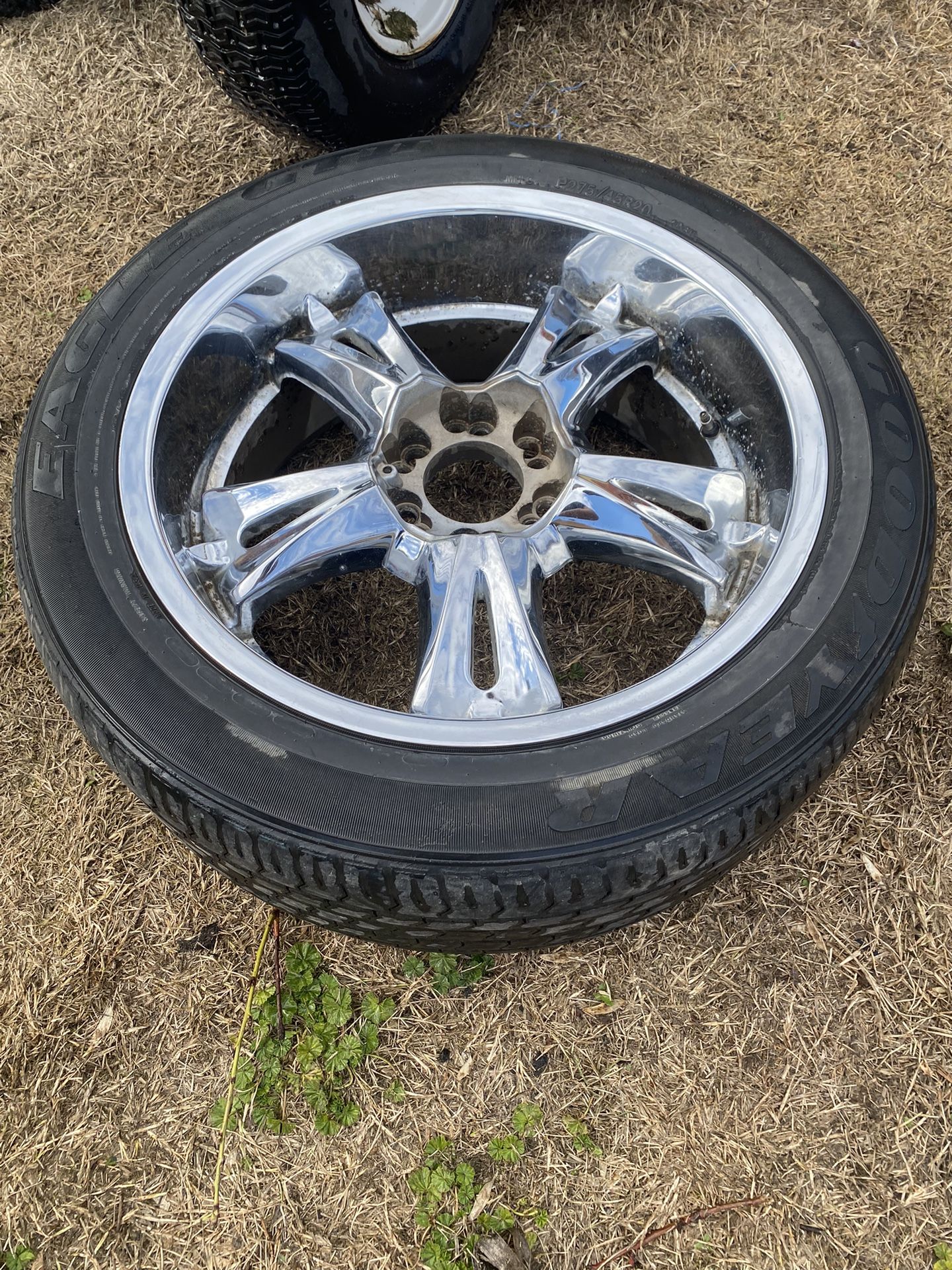 20’s In Rims 6 Slug Universal Full Set $100 OBO