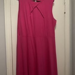 Women’s New York & Company Fit & Flare Dress Size XL 