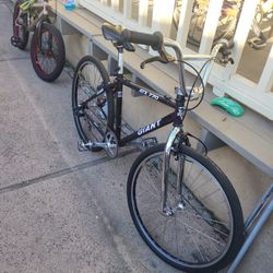 Giant Bike