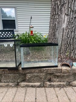 25 Gallon and 10 Gallon Tanks and accessories