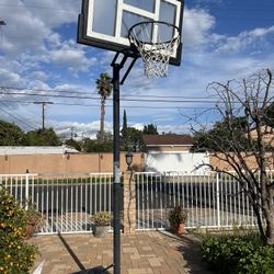 Basketball Hoop