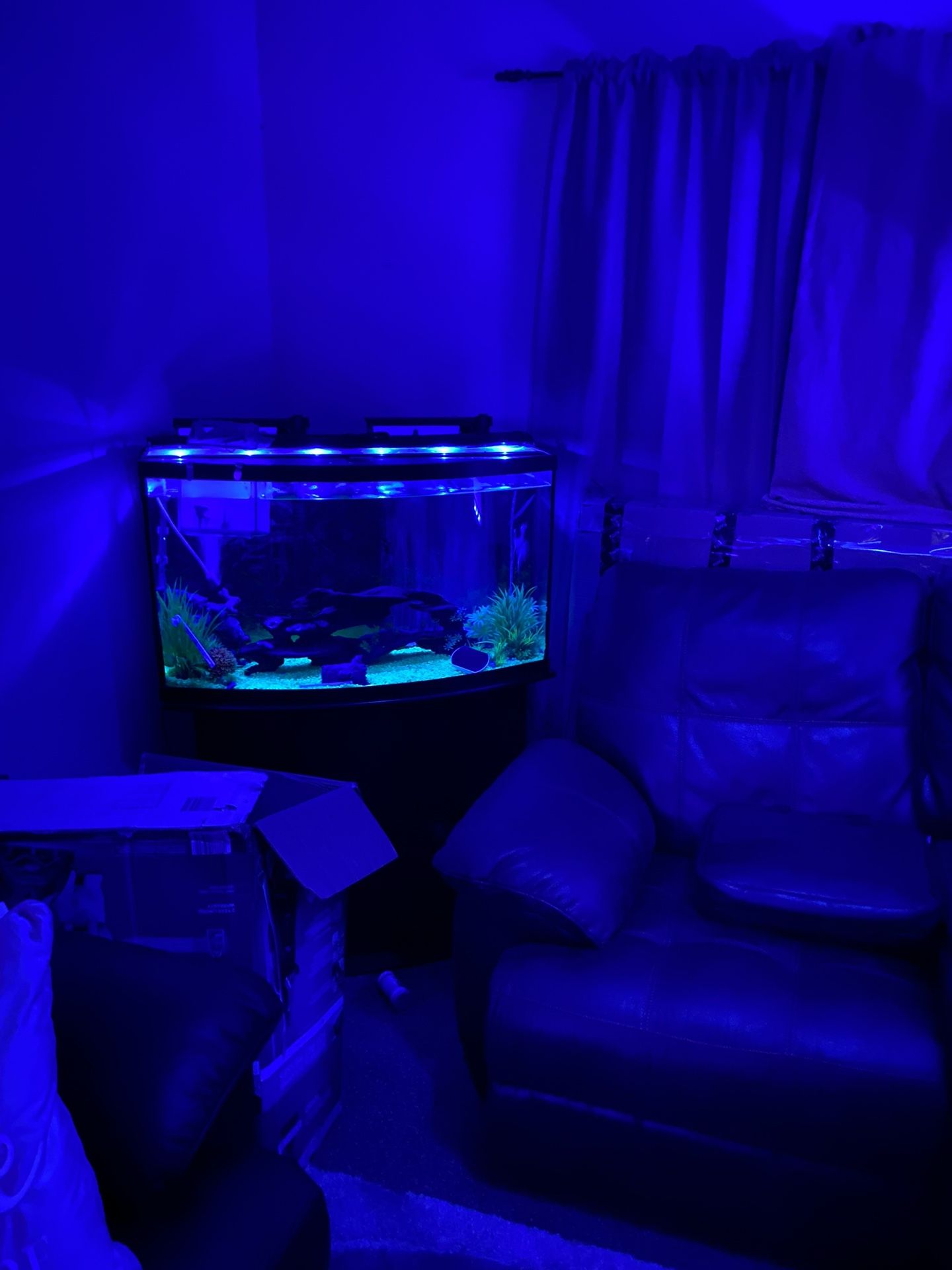 Large Fish Tank Estimated 55 Gallons Maybe More