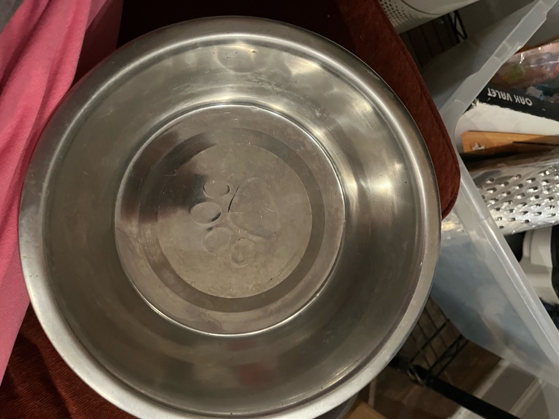 Dog Bowl