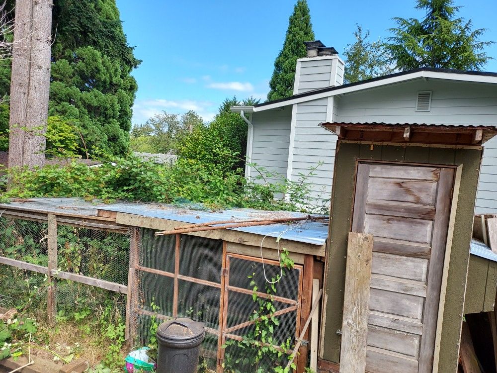Chicken coop and run.