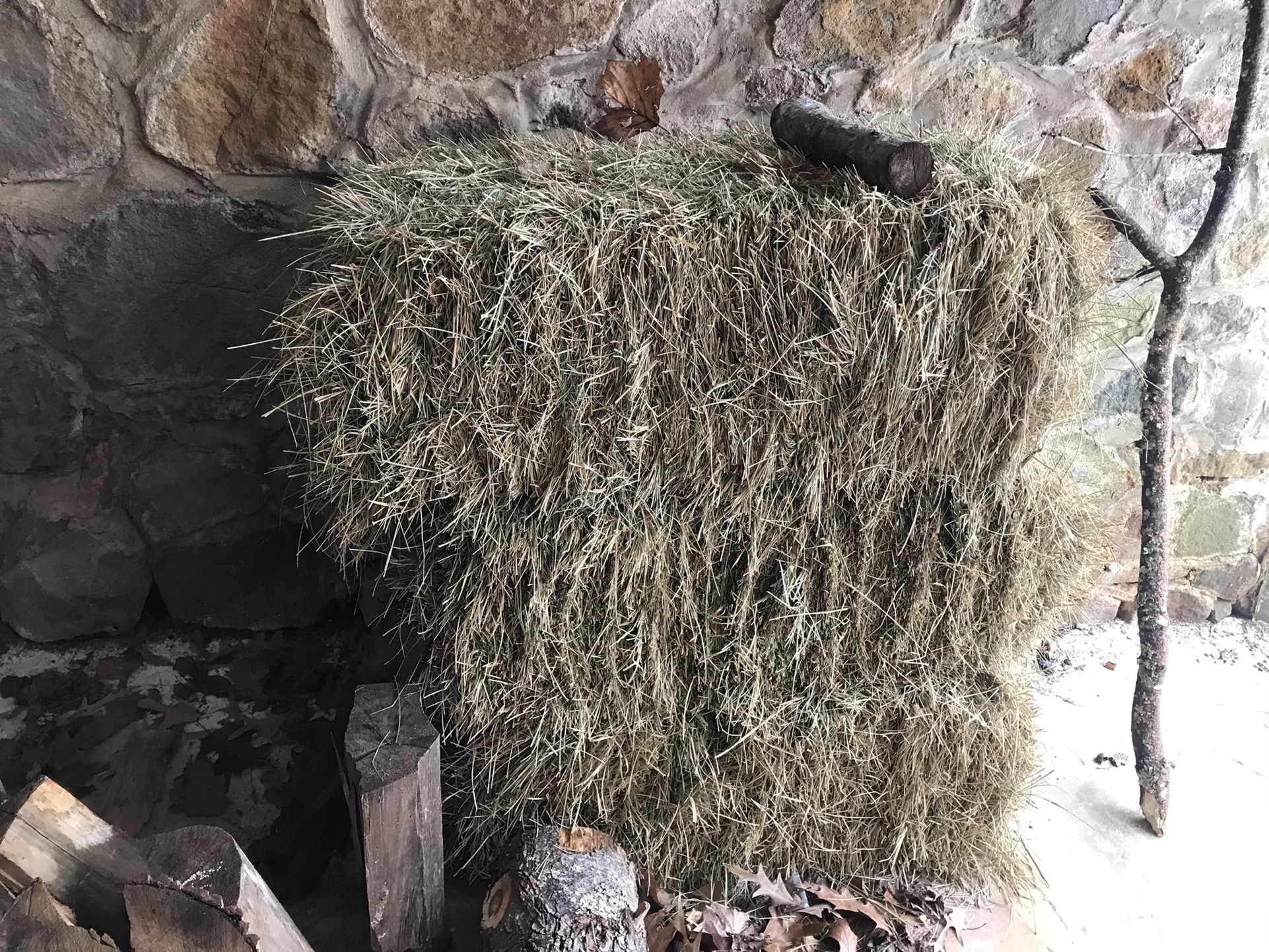 3 bails of Hay for sale