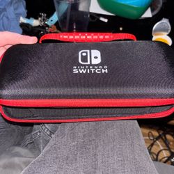 Switch Light Comes With Charger And Case  And a Pretty New SD Memory Card 