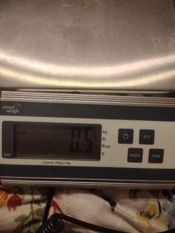 Scale